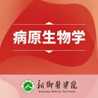 ԭW(xu)
